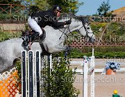 Casadei My Forever GioCav2013 S5 1676 : Campionati Italiani Giovani Cavalli, Casadei Mirco, Cattolica, My Forever, ph Stefano Secchi ©